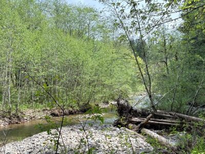 2026_05_02_Dry_Creek_Trail_DH
